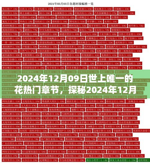 探秘世上唯一的花，揭秘?zé)衢T章節(jié)三大要點(diǎn)（日期，2024年12月09日）