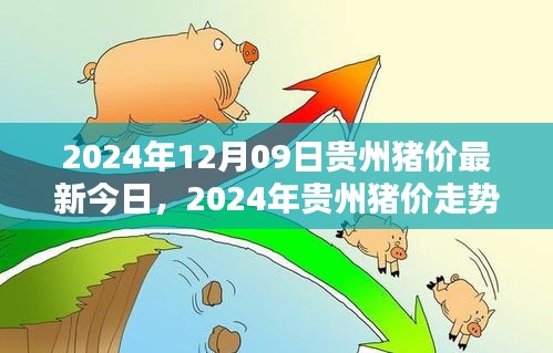 2024年貴州豬價(jià)走勢(shì)分析與深度探討，最新今日豬價(jià)及未來趨勢(shì)