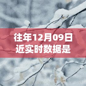 往年12月9日數(shù)據(jù)的魔法，溫馨回憶中的實時時光