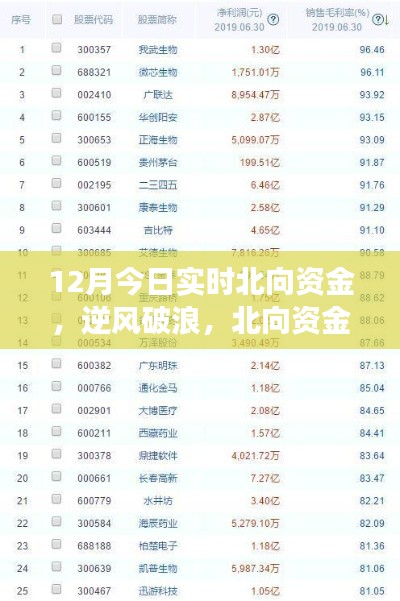 北向資金啟示下的成長(zhǎng)奇跡，12月實(shí)時(shí)洞察，自信成就夢(mèng)想之旅