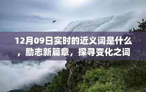 12月09日實(shí)時(shí)近義詞探索與勵(lì)志新篇章，探尋詞匯魔力，學(xué)習(xí)鑄就自信成就之橋