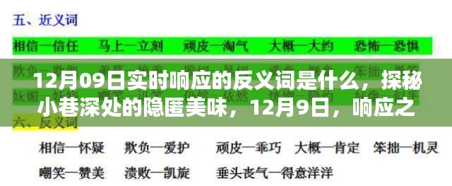 探秘實(shí)時(shí)響應(yīng)反義詞與小巷深處的隱匿美味，12月9日的探索之旅