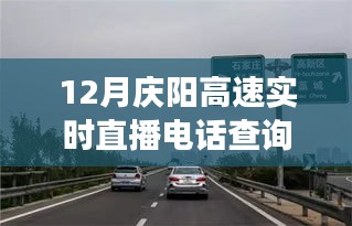 慶陽高速直播電話查詢背后的勵志故事，駕馭變化，駛向成功