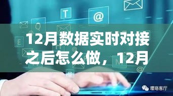 12月數(shù)據(jù)實(shí)時(shí)對接后的策略指南，多方考量與行動步驟