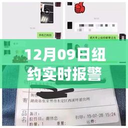 紐約實時報警電話背后的故事，變化、學習與自信的力量揭秘（附最新報警電話）