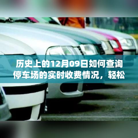 如何查詢停車場實(shí)時(shí)收費(fèi)情況？詳細(xì)步驟指南（歷史上的12月09日版）