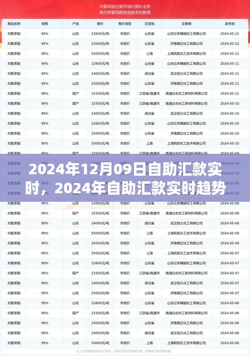 自助匯款實時趨勢下的金融革新，機遇與挑戰(zhàn)并存（2024年12月09日）