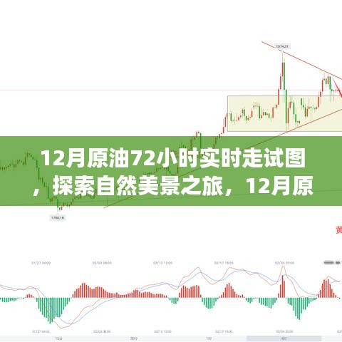 揭秘原油走勢圖背后的故事，探尋自然美景之旅的實時追蹤報告