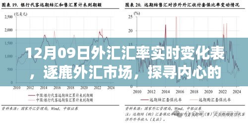 揭秘外匯市場風云變幻，探尋匯率背后的故事——12月09日外匯匯率實時變化表解析