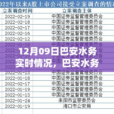 巴安水務(wù)實時情況詳解與操作指南，初學者與進階用戶適用的任務(wù)指南（12月09日）