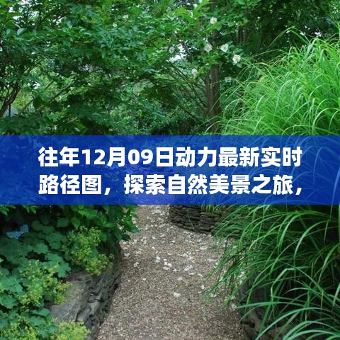 往年12月09日動力路徑圖，自然美景探索之旅的寧靜與和諧體驗