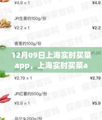 上海實(shí)時(shí)買菜app使用指南，從初學(xué)者到進(jìn)階用戶的全方位指南（12月09日版）