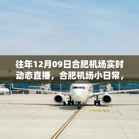 云端下的溫馨相遇，合肥機(jī)場12月9日實(shí)時動態(tài)直播小日常