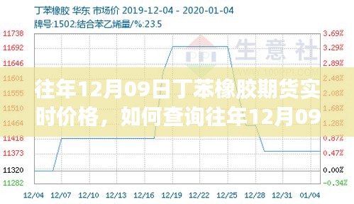 如何查詢往年12月09日丁苯橡膠期貨實時價格，詳細步驟及最新價格信息指南