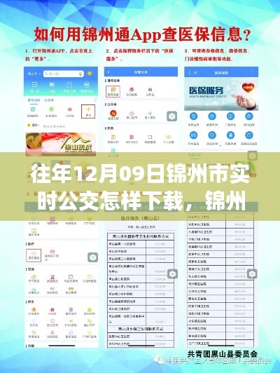 錦州市實時公交查詢APP下載指南，以往年12月09日為例的教程分享