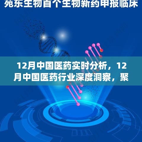 聚焦實時分析，探尋中國醫(yī)藥行業(yè)深度洞察與發(fā)展之路