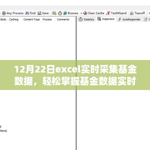 Excel基金數據實時采集進階，掌握實時動態(tài)，輕松管理投資組合（12月22日）