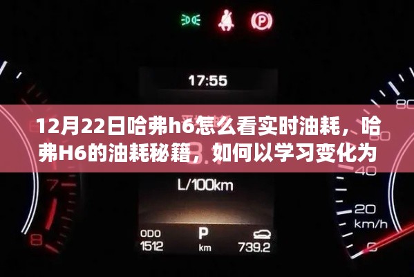 哈弗H6實時油耗秘籍，學(xué)習(xí)變化為燃料，駛向自信彼岸的指南