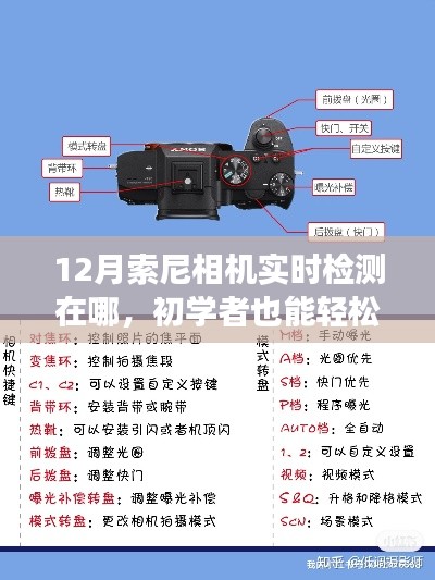 初學(xué)者也能輕松掌握！12月索尼相機(jī)實(shí)時(shí)檢測(cè)功能使用指南