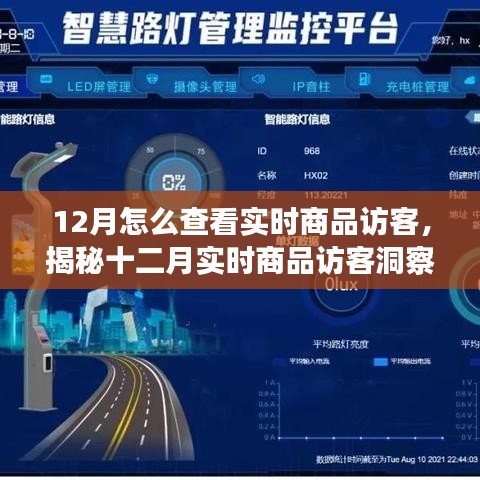 揭秘十二月實(shí)時商品訪客洞察，洞悉訪客動態(tài)與商業(yè)進(jìn)展的秘訣