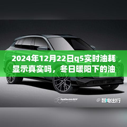 冬日暖陽下的真相探尋，2024年Q5實時油耗顯示的可信度與友情之旅