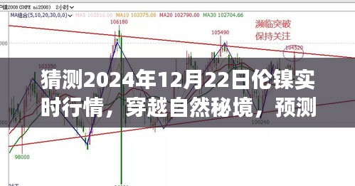 倫鎳行情預(yù)測與心靈之旅，穿越自然秘境，探索2024年倫鎳實時行情的奇妙交織