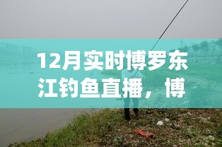 博羅東江畔的釣魚盛宴，12月實(shí)時(shí)釣魚直播開啟！