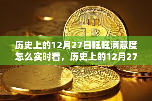 歷史上的12月27日旺旺滿意度實(shí)時(shí)查看指南，初學(xué)者與進(jìn)階用戶必看