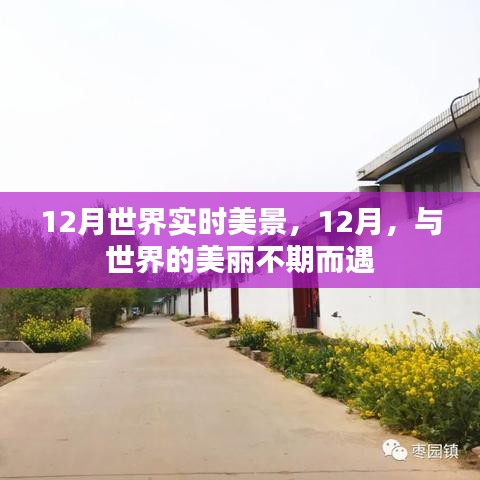 12月世界美景盡收眼底，與全球美麗的不期之約