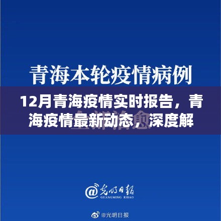 青海疫情深度解析，十二月實時報告與最新動態(tài)