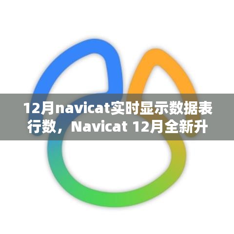 Navicat 12月升級(jí)亮點(diǎn)，實(shí)時(shí)數(shù)據(jù)表行數(shù)顯示，科技助力數(shù)據(jù)管理便捷性