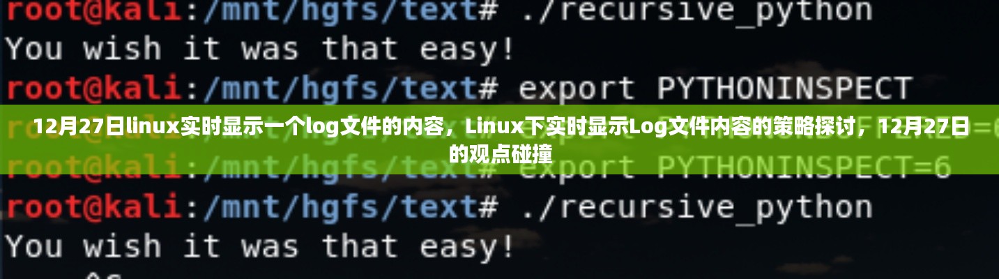 Linux下實時顯示Log文件內(nèi)容的策略探討，觀點碰撞與實時更新技術(shù)