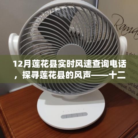 探尋蓮花縣風聲，十二月實時風速查詢電話全解析