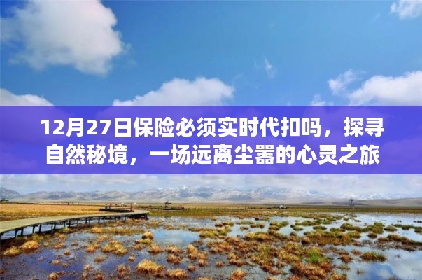 保險代扣與心靈之旅，探尋自然秘境的遠離塵囂之旅