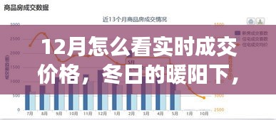 冬陽下的實時成交價格探索之旅，與友共賞奇妙之旅