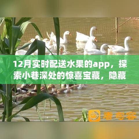 探索小巷深處的鮮果寶藏，12月實時配送水果APP驚喜上線