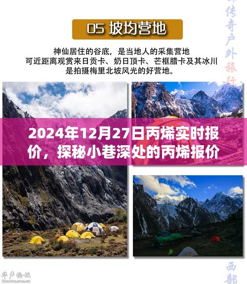 探秘丙烯報價秘境，揭秘2024年12月27日丙烯實時行情與報價深度解析