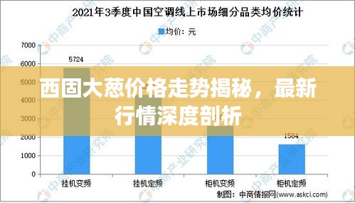 西固大蔥價格走勢揭秘，最新行情深度剖析