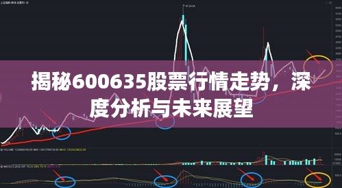 揭秘600635股票行情走勢，深度分析與未來展望