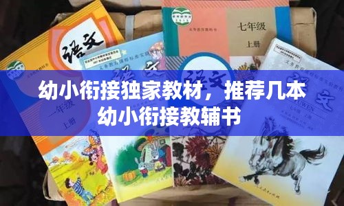 幼小銜接獨(dú)家教材，推薦幾本幼小銜接教輔書 