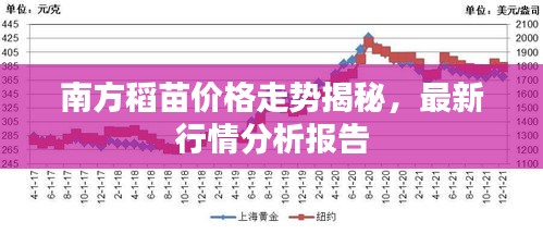 南方稻苗價(jià)格走勢(shì)揭秘，最新行情分析報(bào)告