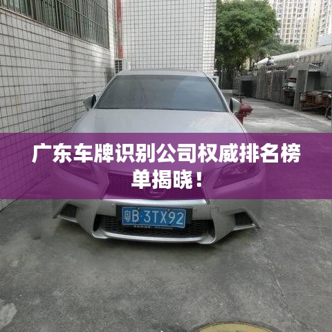 廣東車牌識別公司權(quán)威排名榜單揭曉！