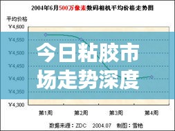 今日粘膠市場走勢深度解析，最新行情報告