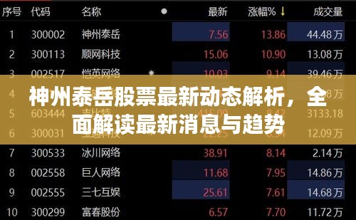 神州泰岳股票最新動態(tài)解析，全面解讀最新消息與趨勢