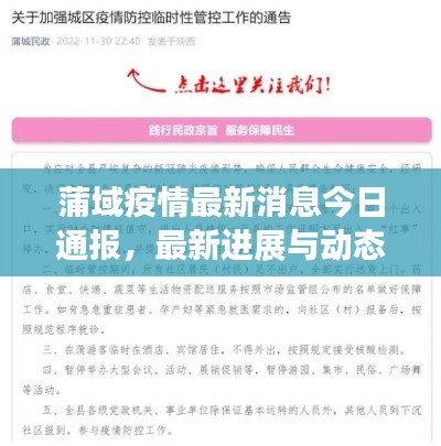 蒲域疫情最新消息今日通報(bào)，最新進(jìn)展與動(dòng)態(tài)關(guān)注