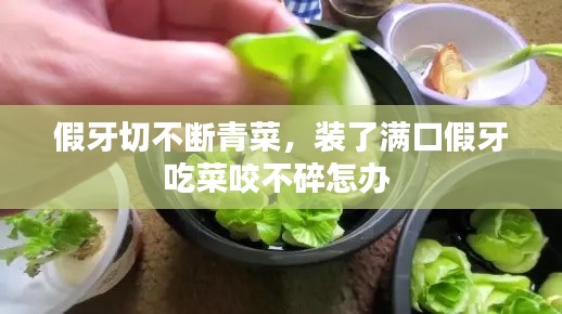 假牙切不斷青菜，裝了滿口假牙吃菜咬不碎怎辦 