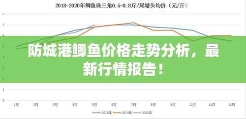 防城港鯽魚價(jià)格走勢分析，最新行情報(bào)告！