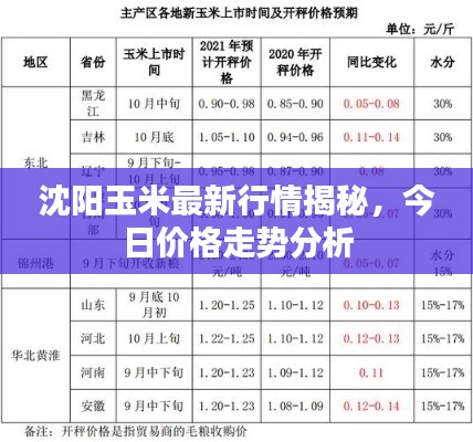 沈陽玉米最新行情揭秘，今日價(jià)格走勢分析