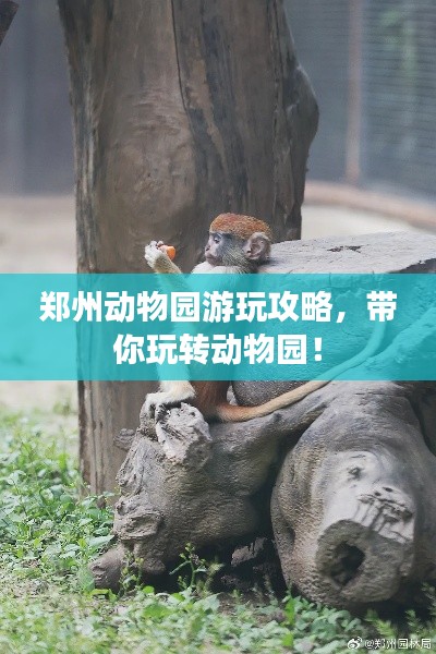 鄭州動物園游玩攻略，帶你玩轉(zhuǎn)動物園！