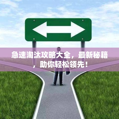 急速淘汰攻略大全，最新秘籍，助你輕松領(lǐng)先！